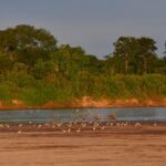 Rio Araguaia em Nova Crixás atinge menor nível histórico para agosto