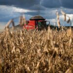 Goiás bate recorde em produção e produtividade de soja na safra 2024/25
