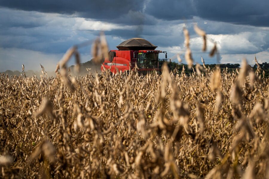 Goiás bate recorde em produção e produtividade de soja na safra 2024/25