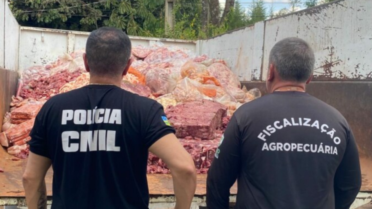 Decon e Agrodefesa apreendem 2,5 toneladas de carne clandestina em Goiânia