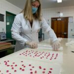 Agrodefesa orienta produtores sobre sementes para a safra
