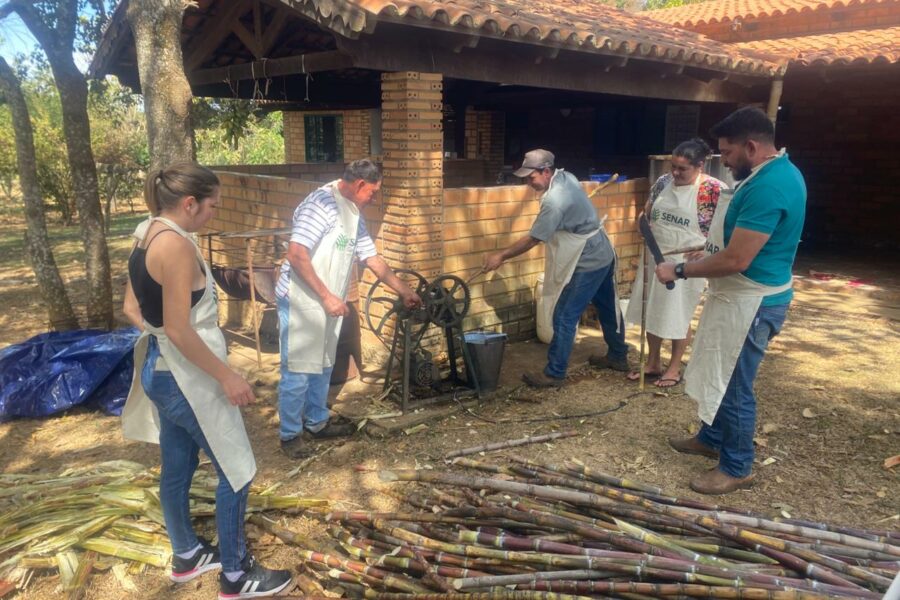 Cachaça artesanal é tradição e oportunidade no Entorno