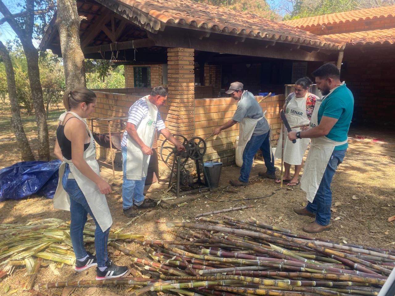 Cachaça artesanal é tradição e oportunidade no Entorno