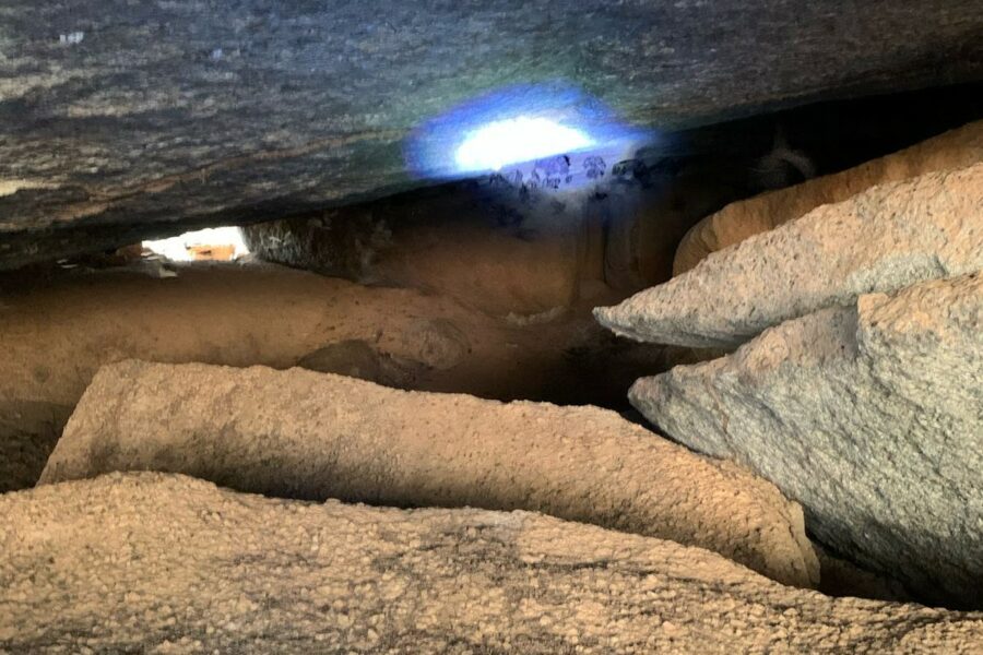 Intensificado controle de morcegos hematófagos em Carmo do Rio Verde