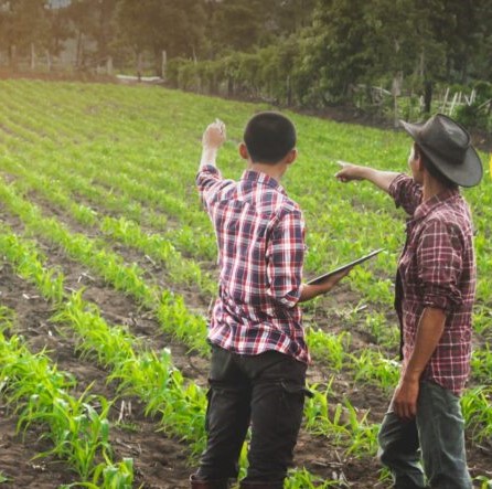 Inscrições para Agro é Social Jovem terminam dia 31