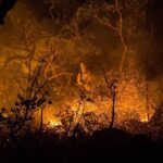 Semad define como se deve comprovar autoria de incêndios florestais em Goiás