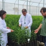 Emater Goiás recebe inscrições para o Prêmio Goiás Agro até 12 de setembro