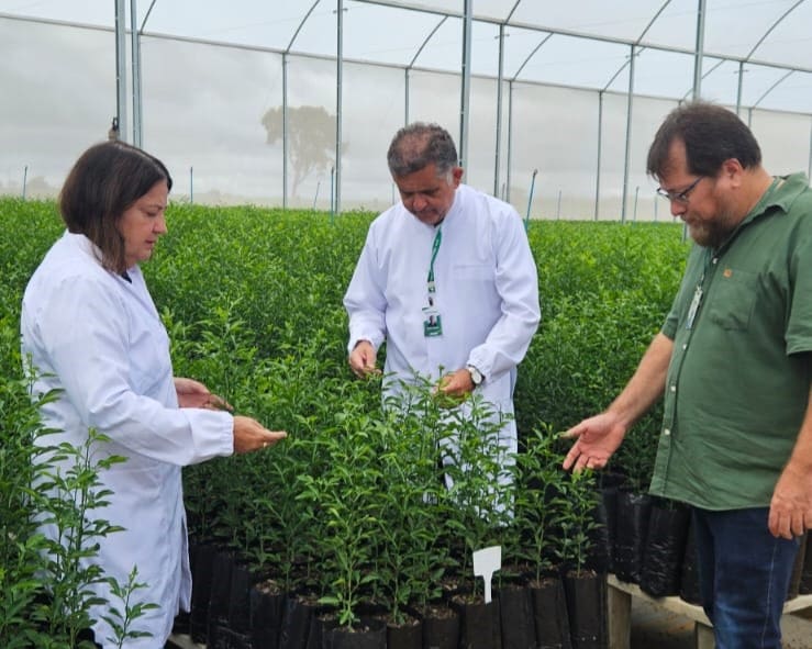 Emater Goiás recebe inscrições para o Prêmio Goiás Agro até 12 de setembro