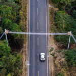 Goinfra constrói passagens de fauna em rodovias