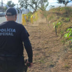 Plano Estadual prevê elevar em 50% número de detentos no trabalho até 2026