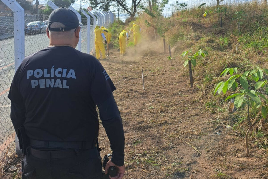 Plano Estadual prevê elevar em 50% número de detentos no trabalho até 2026