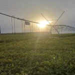 Vale do Araguaia é aposta estratégica para produção agrícola