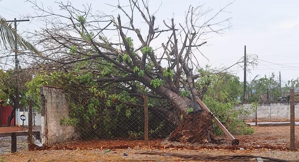 População deve seguir medidas de segurança durante chuvas e ventos fortes