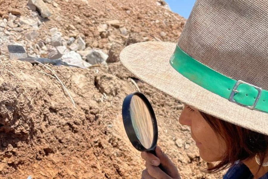 Goiás terá Centro de Excelência em Saúde Única do Brasil