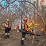Após 33 dias, bombeiros extinguem incêndio florestal