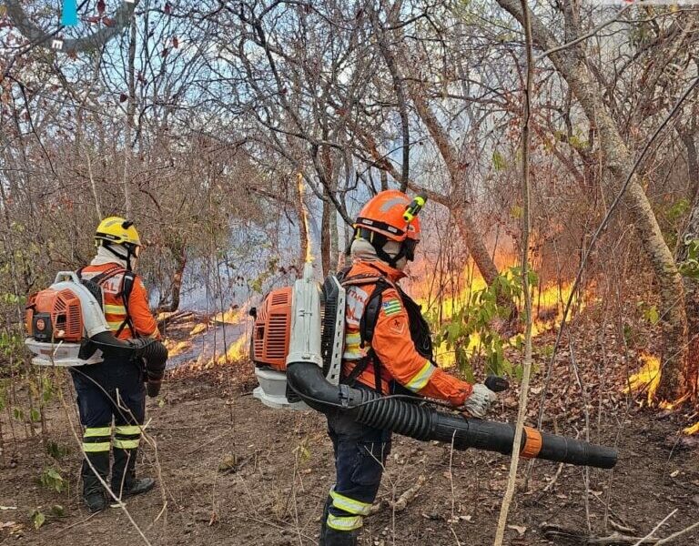 Após 33 dias, bombeiros extinguem incêndio florestal