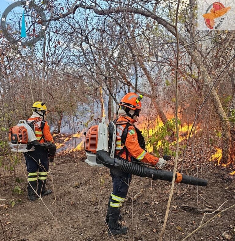 Após 33 dias, bombeiros extinguem incêndio florestal