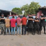 Operação desarticula organização criminosa de furto de gado em GO e TO