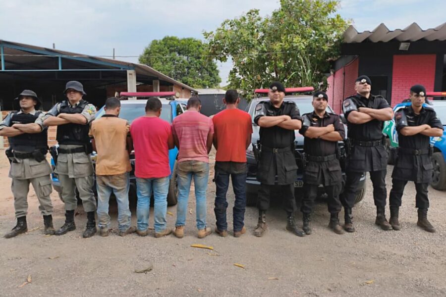 Operação desarticula organização criminosa de furto de gado em GO e TO