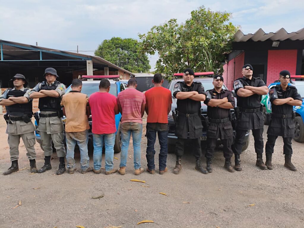Operação desarticula organização criminosa de furto de gado em GO e TO
