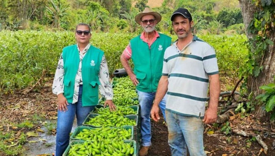 PAA Goiás bate recorde de inscrições e supera metas
