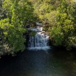 Cerrado em Pé: Goiás remunera produtores rurais que preservam bioma