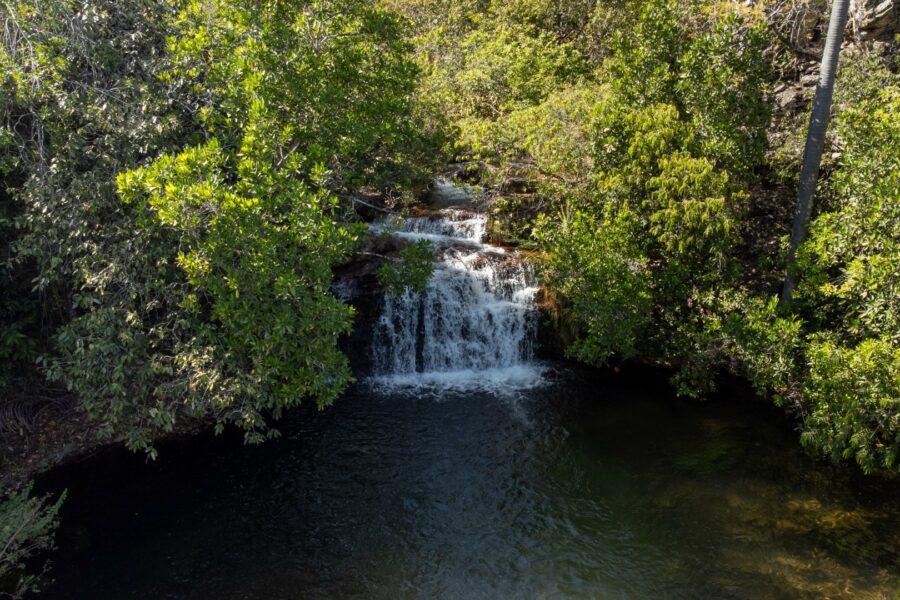 Cerrado em Pé: Goiás remunera produtores rurais que preservam bioma