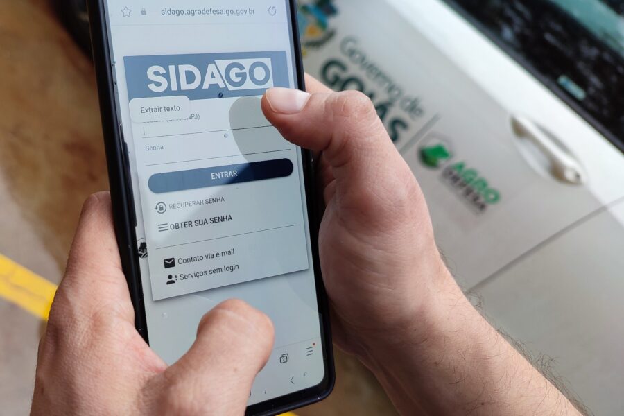 Governo abre 2ª etapa de Declaração de Rebanho neste sábado