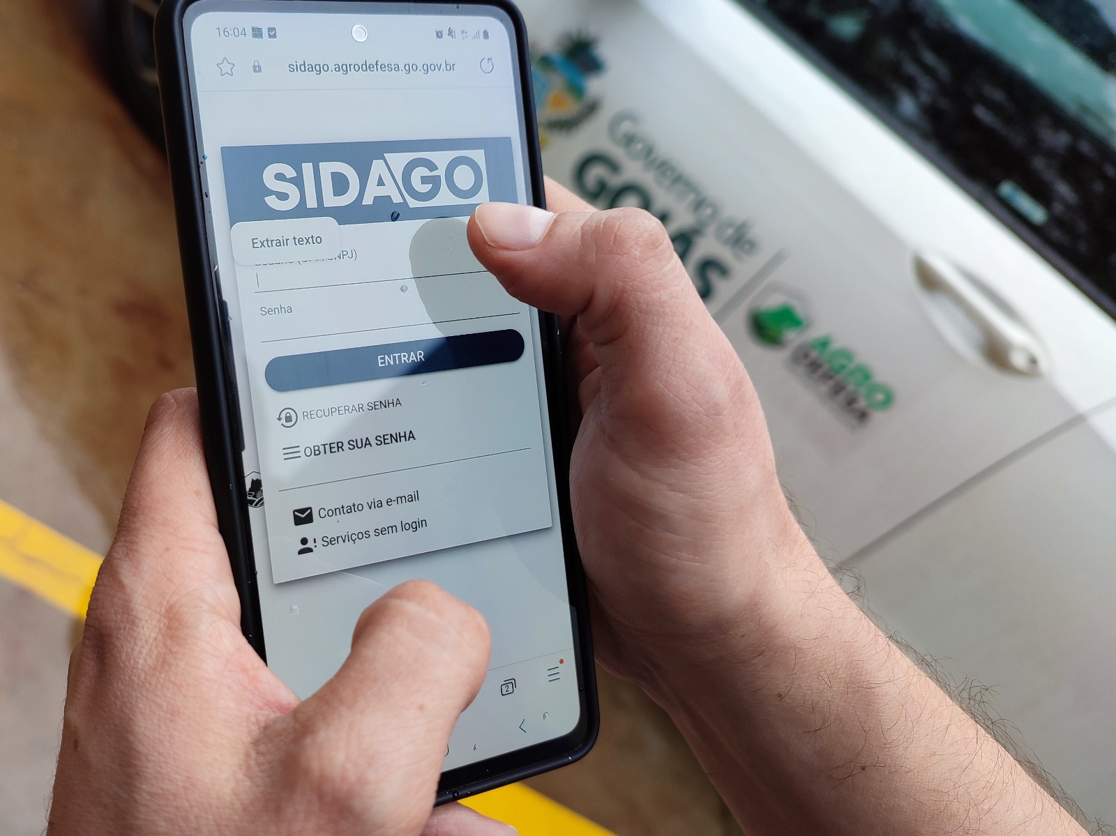 Governo abre 2ª etapa de Declaração de Rebanho neste sábado