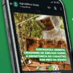 Agrodefesa lança canal no oficial no WhatsApp