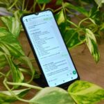Chatbot da Agrodefesa passa a receber notificações de irregularidades no campo
