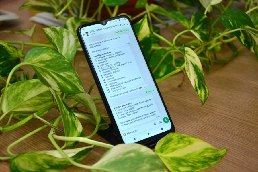 Chatbot da Agrodefesa passa a receber notificações de irregularidades no campo