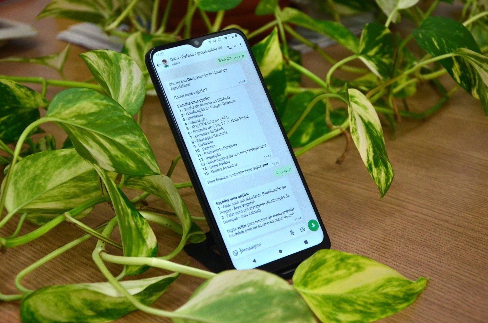 Chatbot da Agrodefesa passa a receber notificações de irregularidades no campo
