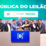 CelgPar é leiloada por mais de R$ 227 milhões