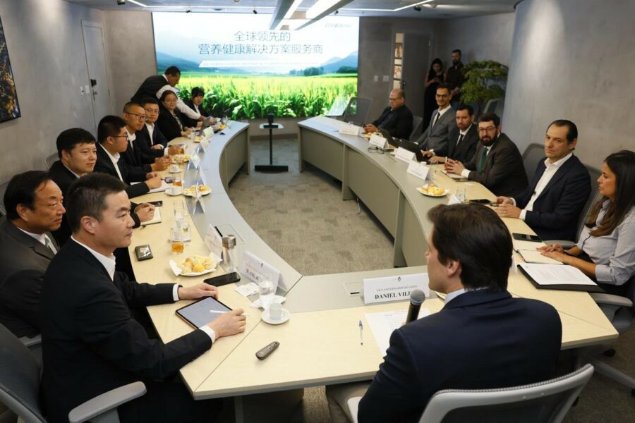 Comitiva chinesa conhece potencial de Goiás para instalação de indústria