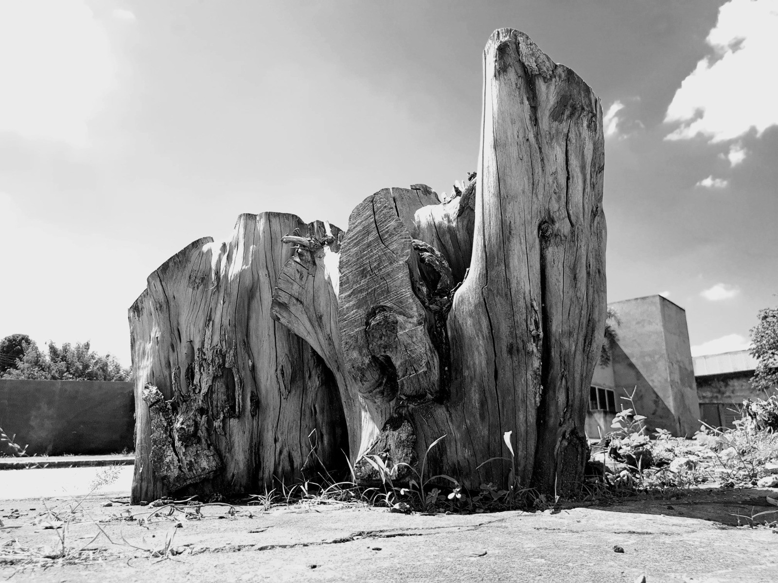 Vila Cultural Cora Coralina recebe exposição fotográfica (Entre)corpos