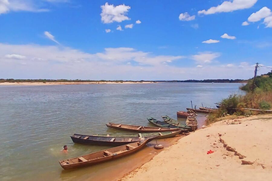 UEG integra estudo que mapeia os biomas Cerrado e Caatinga