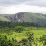 Parques de Goiás podem ser visitados virtualmente em exposição 5D