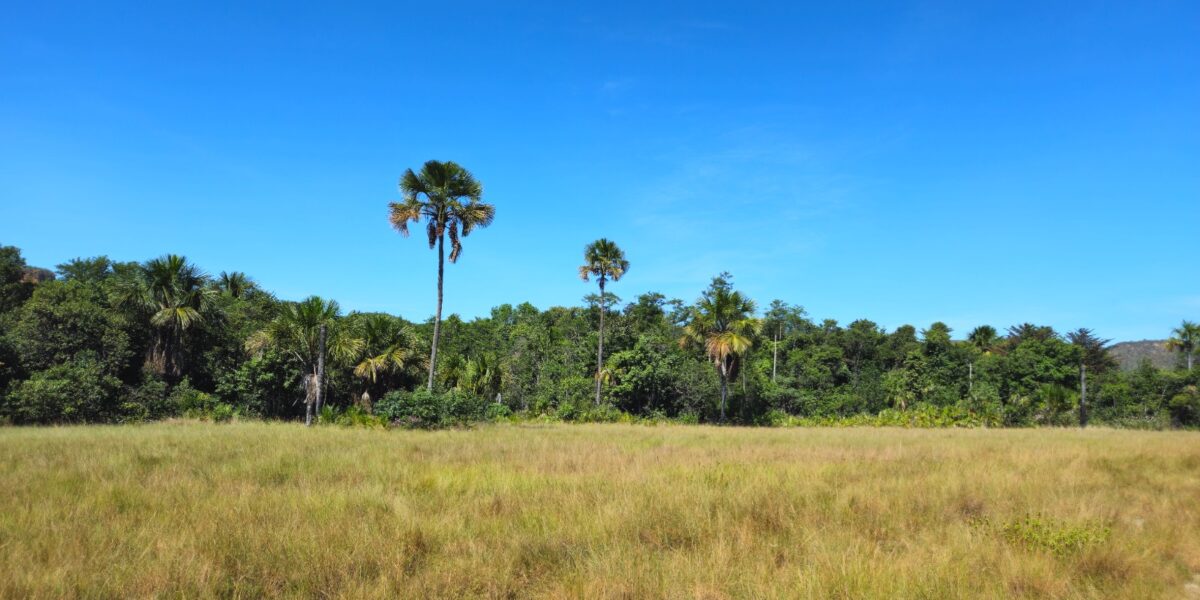 Seminário apresenta resultados do Atlas da Vegetação de Goiás