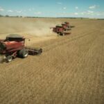 Goiás registra saldo positivo de US$ 6,96 bilhões na balança comercial