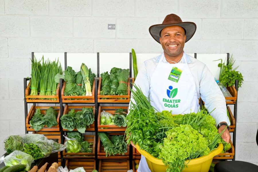 Comerciantes aprovam nova estrutura do Mercadão de Águas Lindas