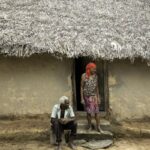 Comunidades tradicionais que protegem o Cerrado podem se inscrever no PSA