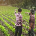 Conheça os municípios vencedores do Prêmio Goiás Agro