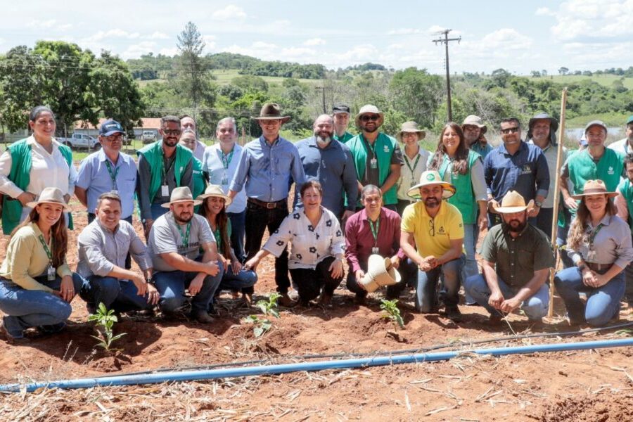Emater realiza Dia de Campo com início do plantio de café arábica