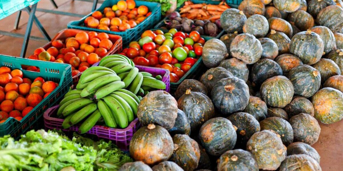 Emater Goiás promove inscrições no CAF em São Luiz do Norte