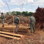 Meio Ambiente fará 1º Encontro de Fiscalização Ambiental
