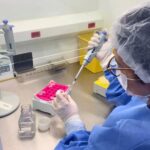 Lacen realiza sequenciamento genômico inédito de vírus da Febre Amarela