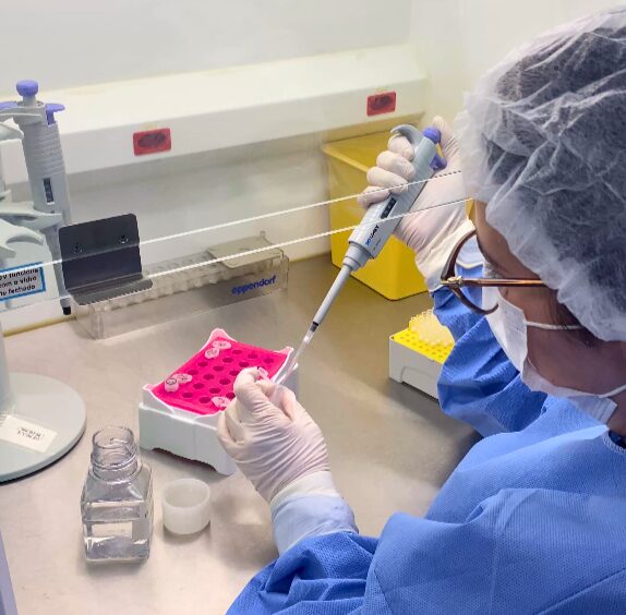 Lacen realiza sequenciamento genômico inédito de vírus da Febre Amarela