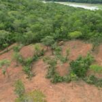 Meio Ambiente: Área desmatada em Goiás é a menor da história
