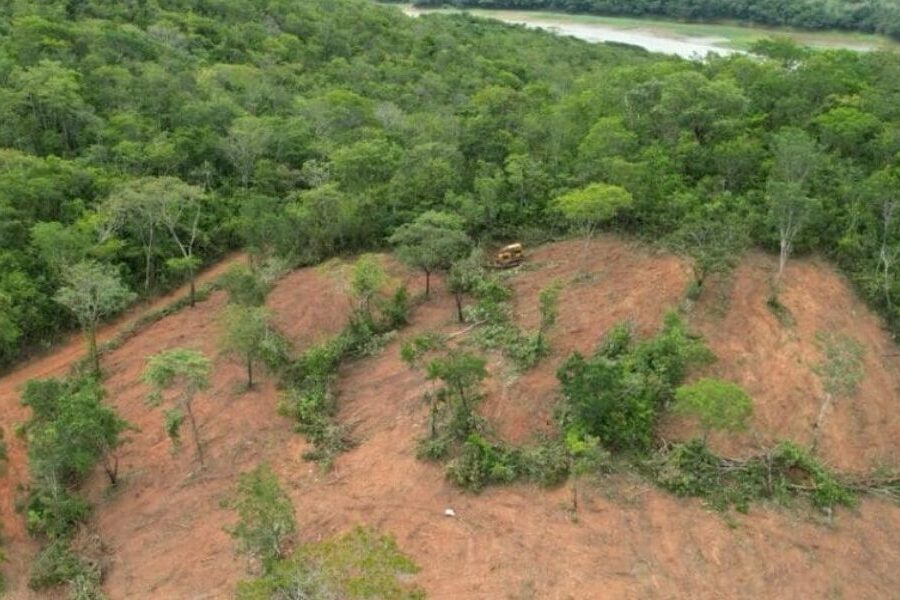 Meio Ambiente: Área desmatada em Goiás é a menor da história